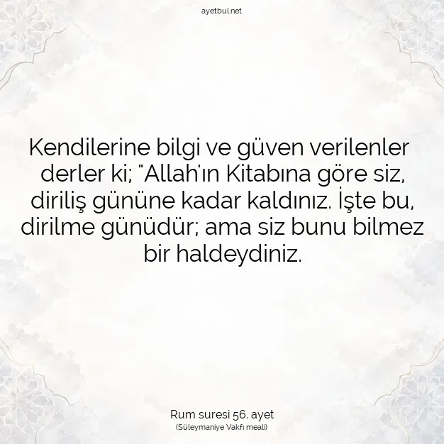 Ayetbul | Kuran Mealleri | Quran | Rum suresi 56. ayet