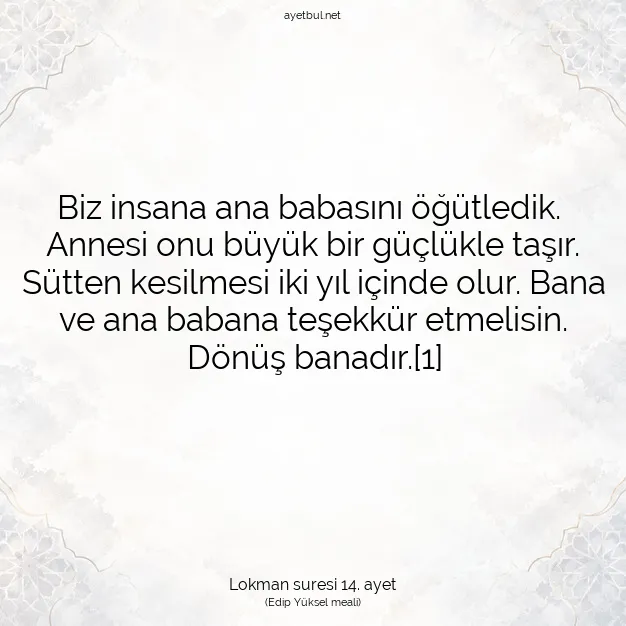 Ayetbul | Kuran Mealleri | Quran | Lokman suresi 14. ayet