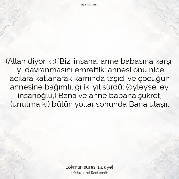 Ayetbul | Kuran Mealleri | Quran | Lokman suresi 14. ayet
