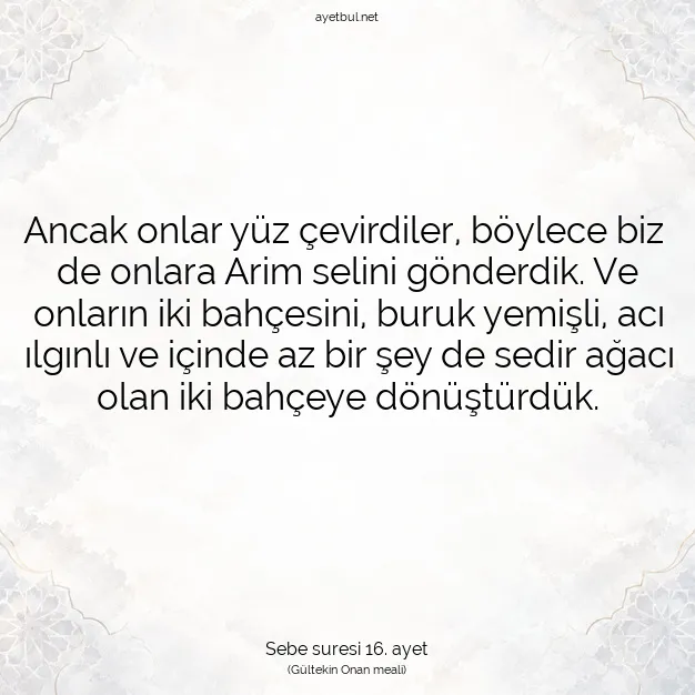 Ayetbul | Kuran Mealleri | Quran | Sebe suresi 16. ayet
