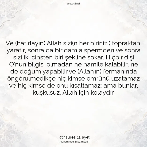 Ayetbul | Kuran Mealleri | Quran | Fatır suresi 11. ayet