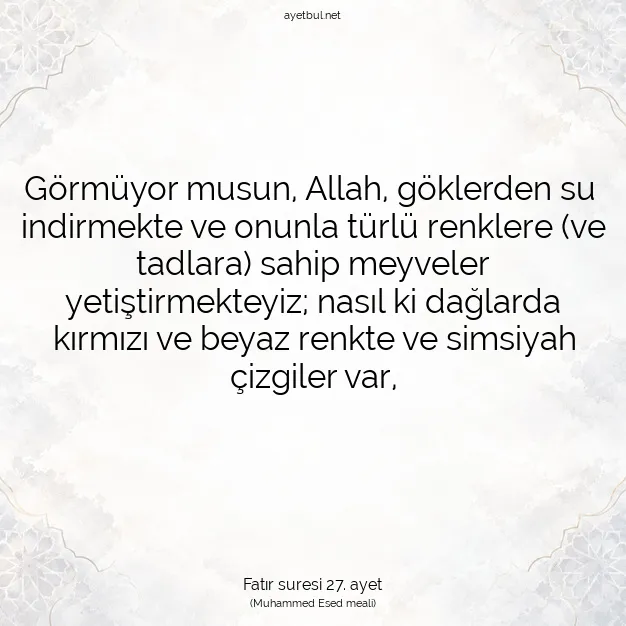 Ayetbul | Kuran Mealleri | Quran | Fatır suresi 27. ayet