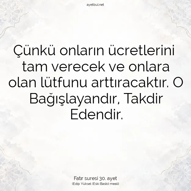 Ayetbul | Kuran Mealleri | Quran | Fatır suresi 30. ayet