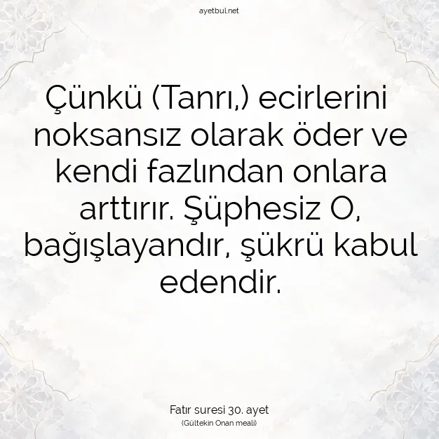 Ayetbul | Kuran Mealleri | Quran | Fatır suresi 30. ayet
