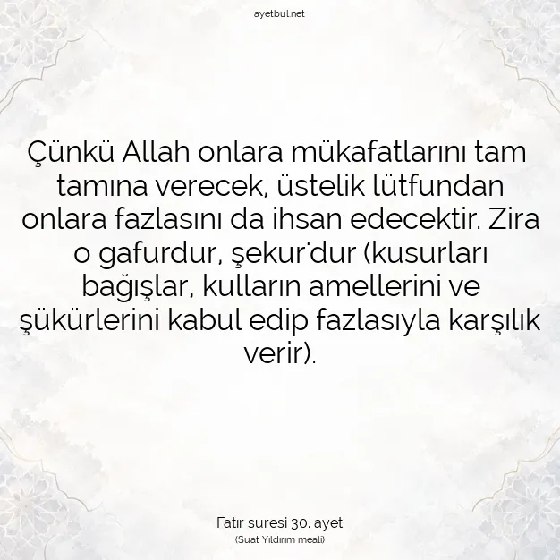 Ayetbul | Kuran Mealleri | Quran | Fatır suresi 30. ayet