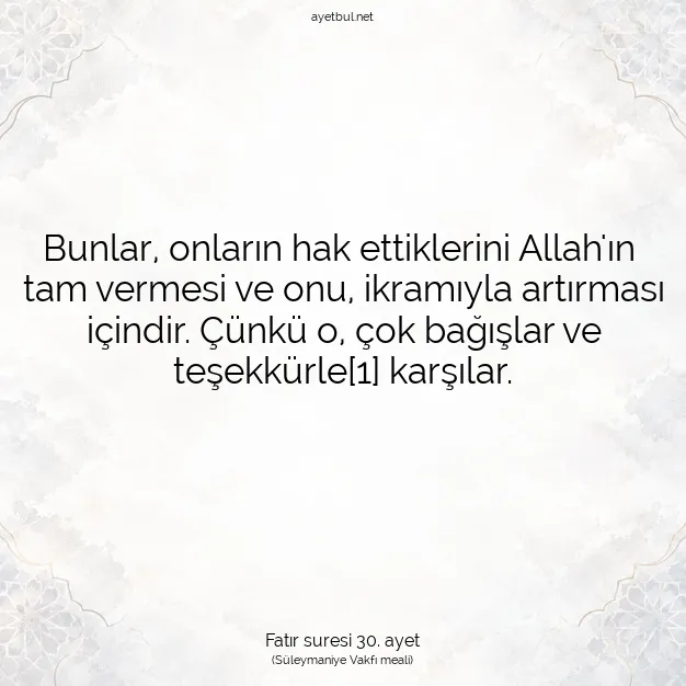 Ayetbul | Kuran Mealleri | Quran | Fatır suresi 30. ayet