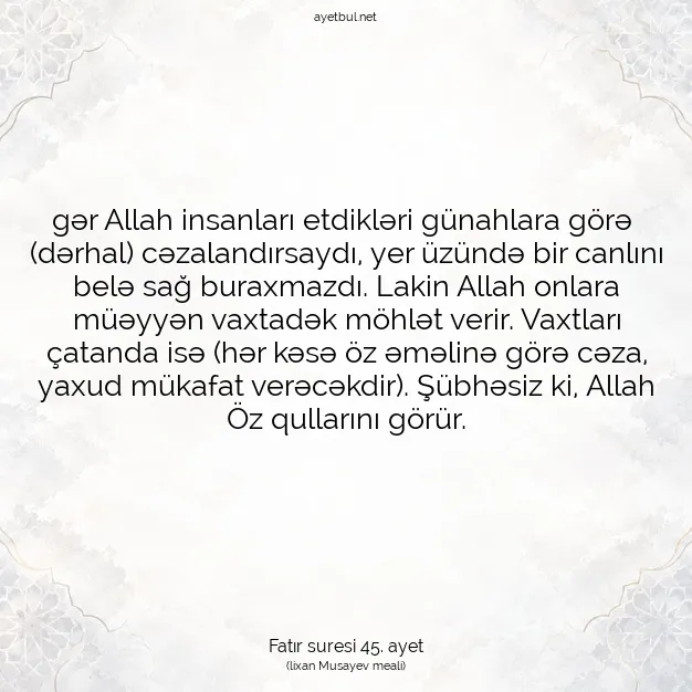 Ayetbul | Kuran Mealleri | Quran | Fatır suresi 45. ayet
