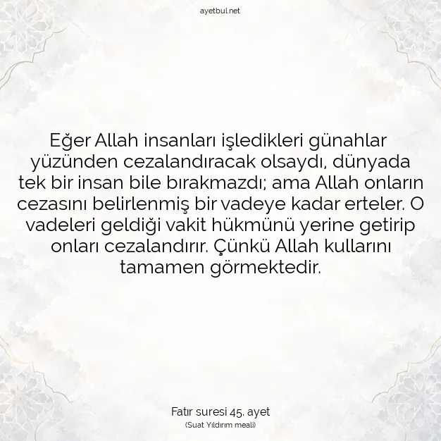 Ayetbul | Kuran Mealleri | Quran | Fatır suresi 45. ayet