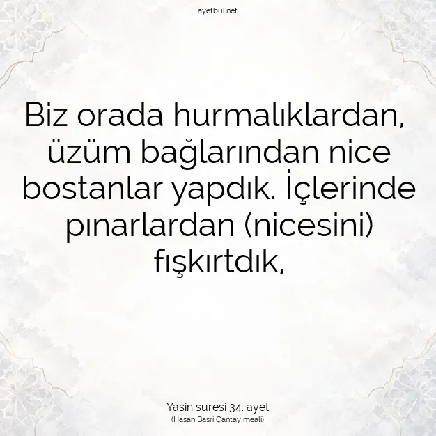 Ayetbul | Kuran Mealleri | Quran | Yasin suresi 34. ayet