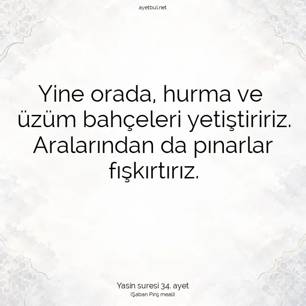 Ayetbul | Kuran Mealleri | Quran | Yasin suresi 34. ayet