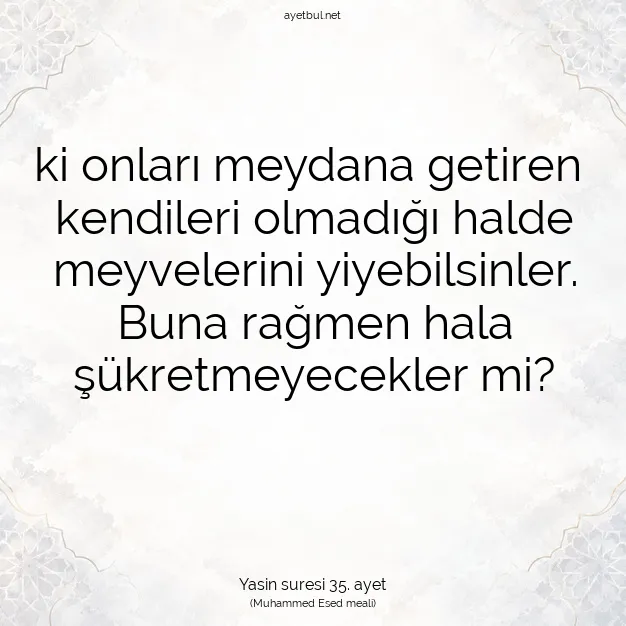 Ayetbul | Kuran Mealleri | Quran | Yasin suresi 35. ayet