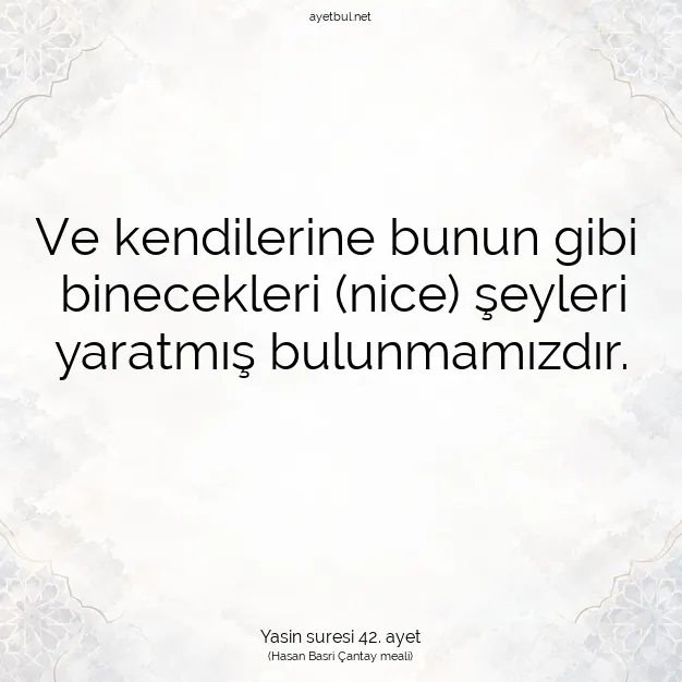 Ayetbul | Kuran Mealleri | Quran | Yasin suresi 42. ayet