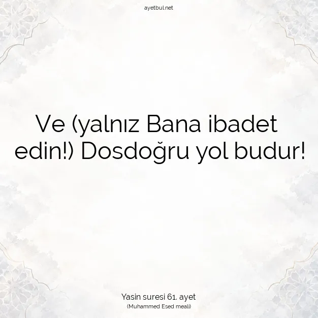 Ayetbul | Kuran Mealleri | Quran | Yasin suresi 61. ayet