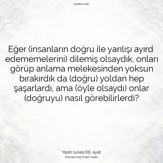 Ayetbul | Kuran Mealleri | Quran | Yasin suresi 66. ayet