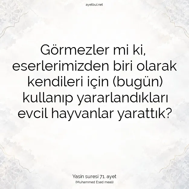 Ayetbul | Kuran Mealleri | Quran | Yasin suresi 71. ayet