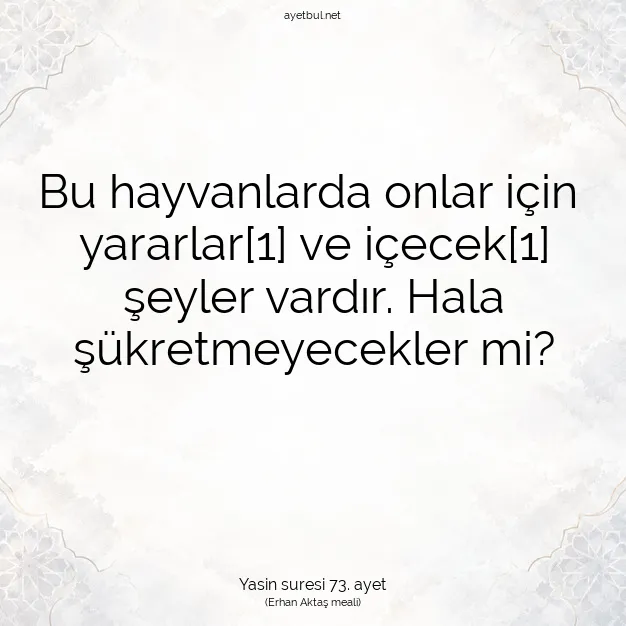 Ayetbul | Kuran Mealleri | Quran | Yasin suresi 73. ayet