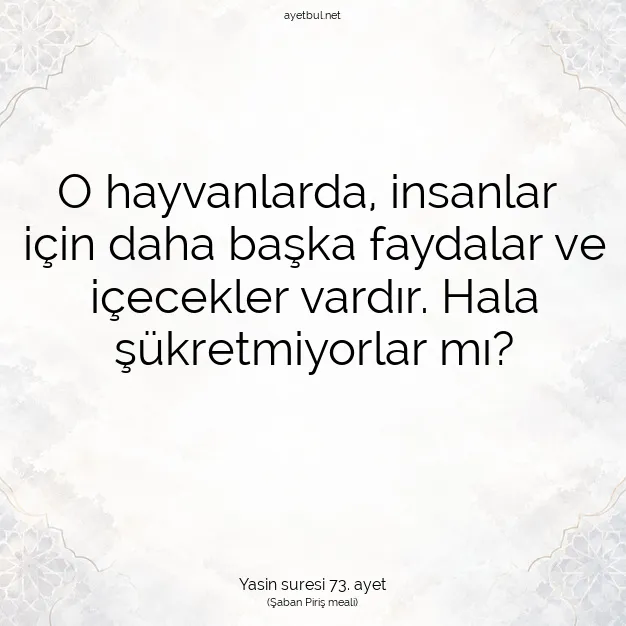 Ayetbul | Kuran Mealleri | Quran | Yasin suresi 73. ayet