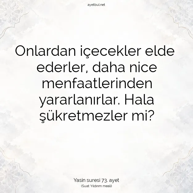 Ayetbul | Kuran Mealleri | Quran | Yasin suresi 73. ayet
