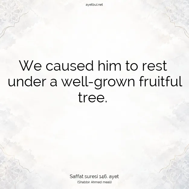 Ayetbul | Kuran Mealleri | Quran | Saffat suresi 146. ayet
