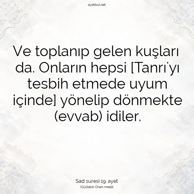 Ayetbul | Kuran Mealleri | Quran | Sad suresi 19. ayet