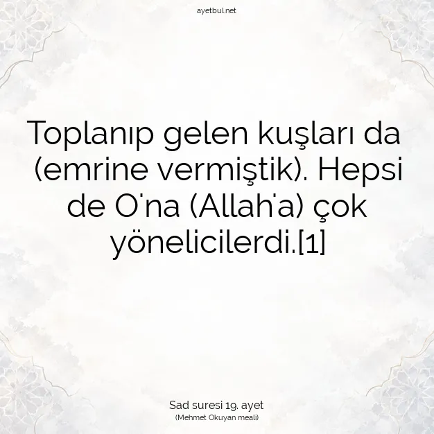 Ayetbul | Kuran Mealleri | Quran | Sad suresi 19. ayet
