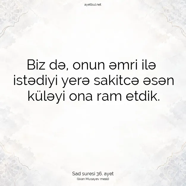 Ayetbul | Kuran Mealleri | Quran | Sad suresi 36. ayet