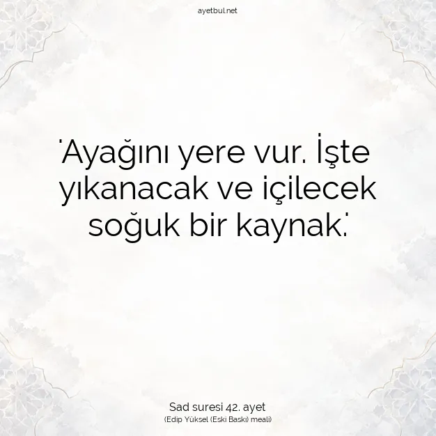 Ayetbul | Kuran Mealleri | Quran | Sad suresi 42. ayet