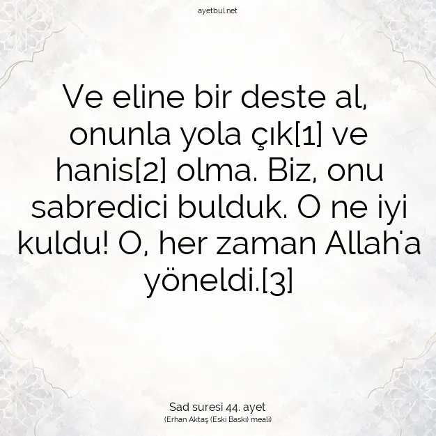 Ayetbul | Kuran Mealleri | Quran | Sad suresi 44. ayet