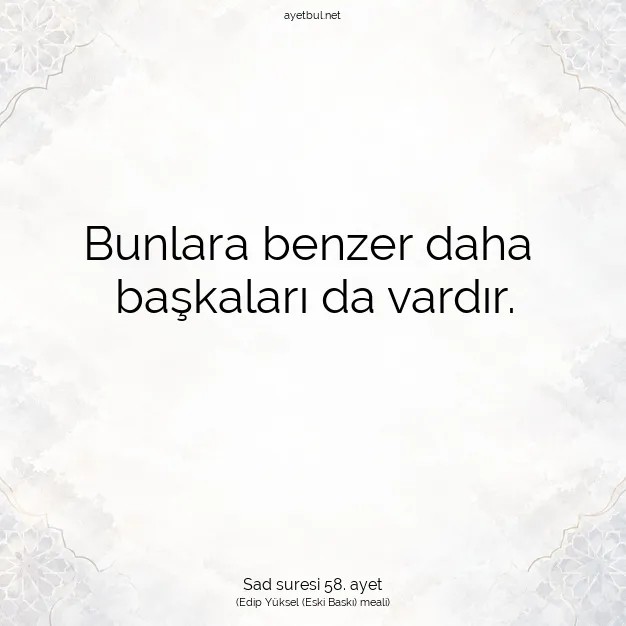 Ayetbul | Kuran Mealleri | Quran | Sad suresi 58. ayet