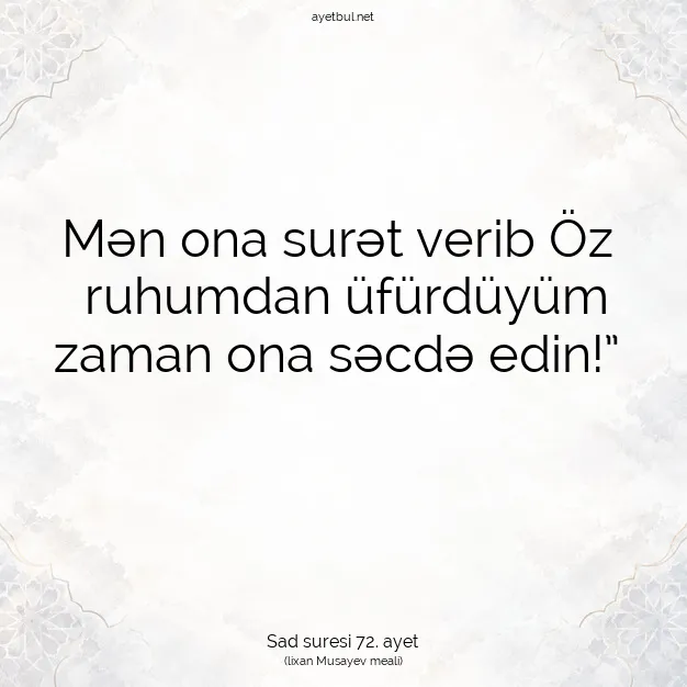 Ayetbul | Kuran Mealleri | Quran | Sad suresi 72. ayet