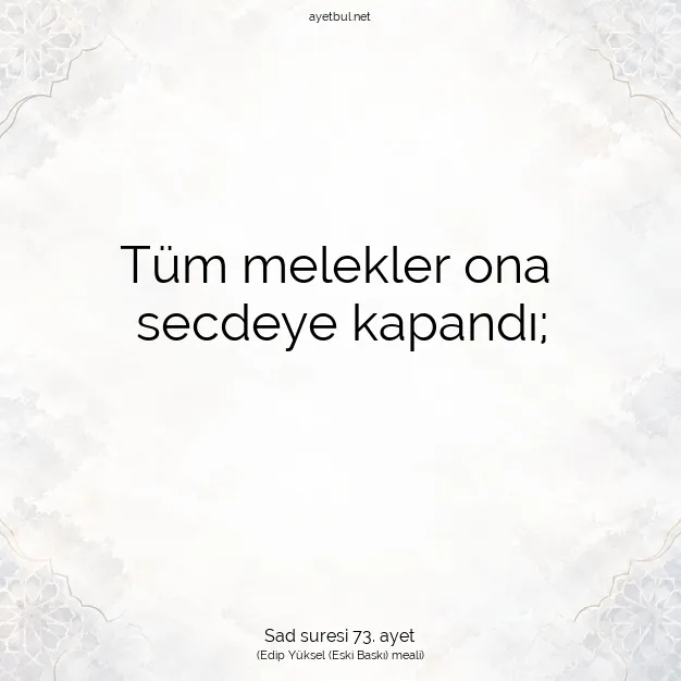Ayetbul | Kuran Mealleri | Quran | Sad suresi 73. ayet