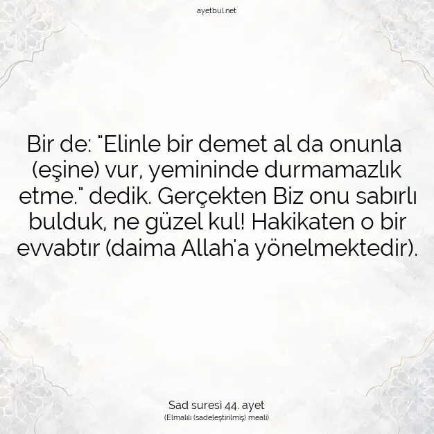 Ayetbul | Kuran Mealleri | Quran | Sad suresi 44. ayet