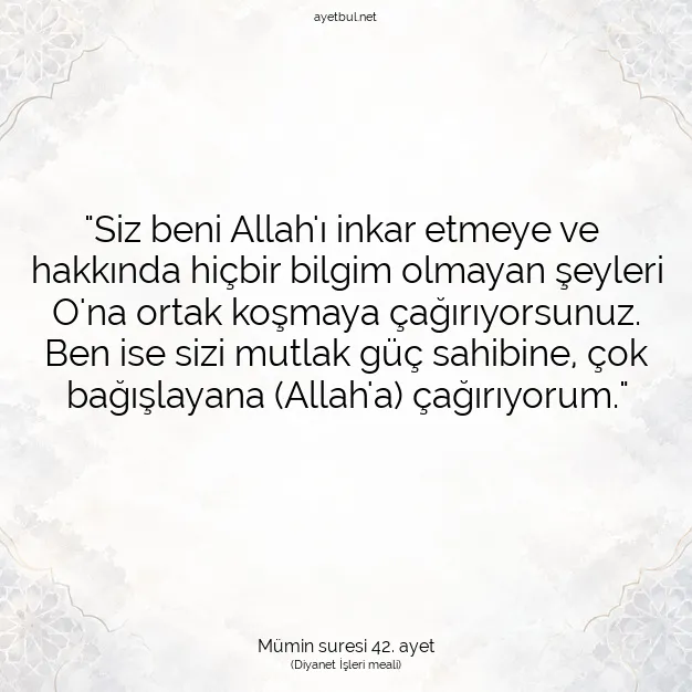 Ayetbul | Kuran Mealleri | Quran | Mümin suresi 42. ayet