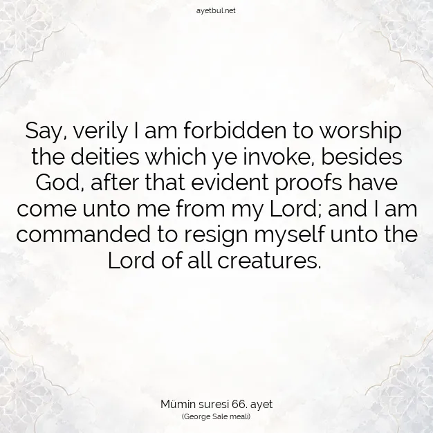 Ayetbul | Kuran Mealleri | Quran | Mümin suresi 66. ayet