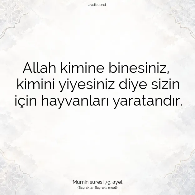 Ayetbul | Kuran Mealleri | Quran | Mümin suresi 79. ayet