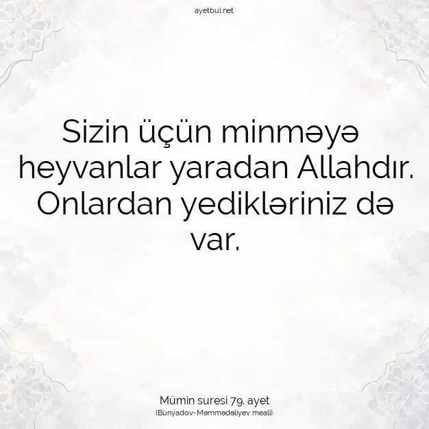 Ayetbul | Kuran Mealleri | Quran | Mümin suresi 79. ayet