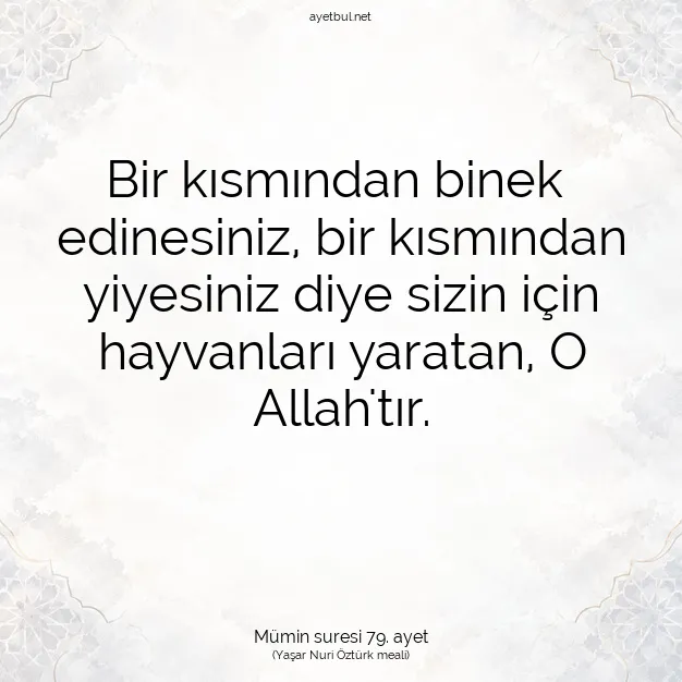 Ayetbul | Kuran Mealleri | Quran | Mümin suresi 79. ayet