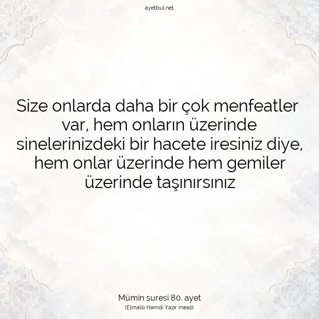Ayetbul | Kuran Mealleri | Quran | Mümin suresi 80. ayet