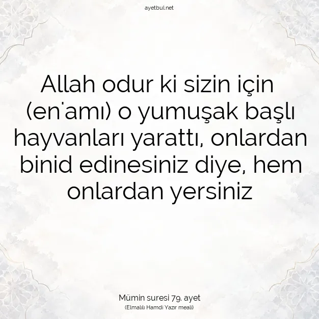 Ayetbul | Kuran Mealleri | Quran | Mümin suresi 79. ayet
