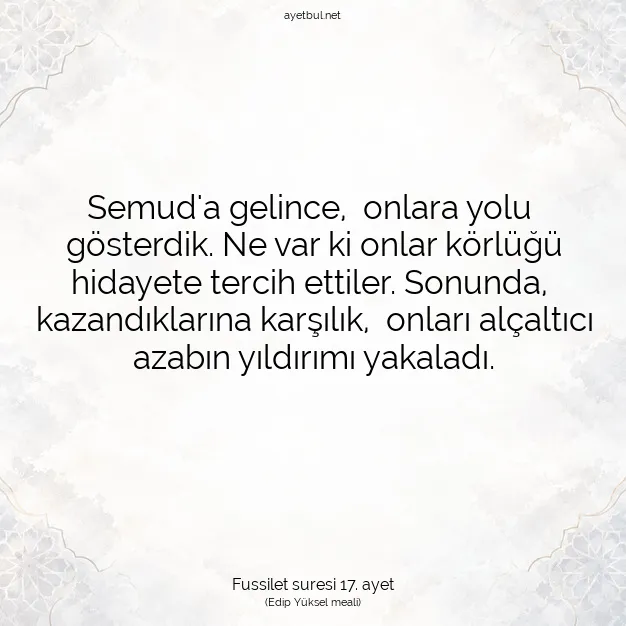 Ayetbul | Kuran Mealleri | Quran | Fussilet suresi 17. ayet