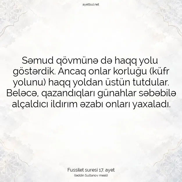 Ayetbul | Kuran Mealleri | Quran | Fussilet suresi 17. ayet