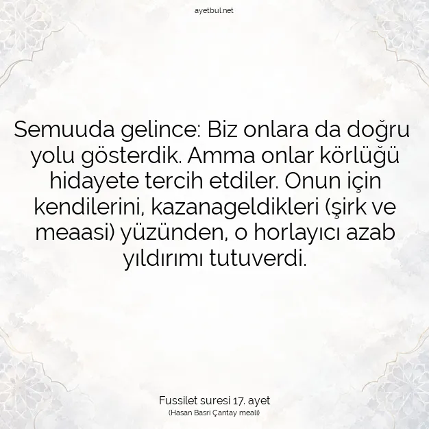 Ayetbul | Kuran Mealleri | Quran | Fussilet suresi 17. ayet