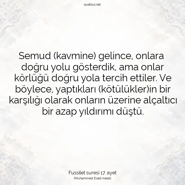 Ayetbul | Kuran Mealleri | Quran | Fussilet suresi 17. ayet