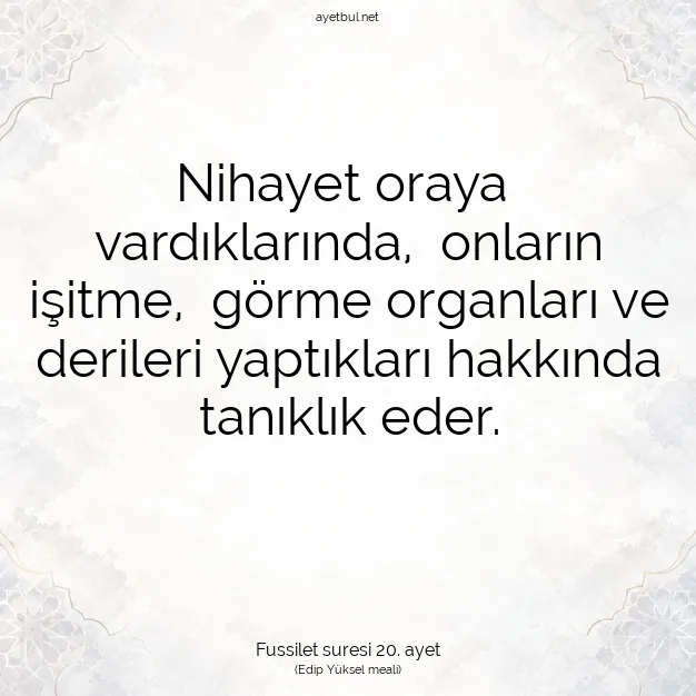 Ayetbul | Kuran Mealleri | Quran | Fussilet suresi 20. ayet