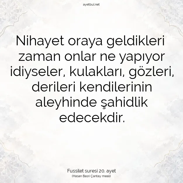Ayetbul | Kuran Mealleri | Quran | Fussilet suresi 20. ayet