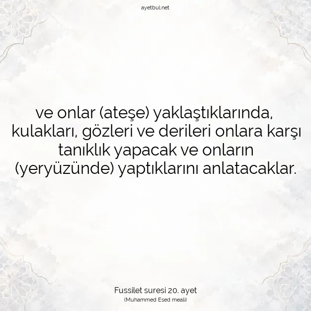 Ayetbul | Kuran Mealleri | Quran | Fussilet suresi 20. ayet