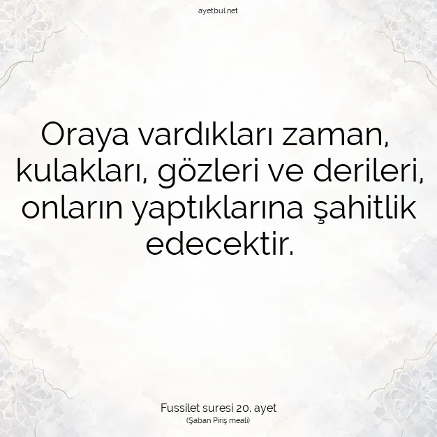 Ayetbul | Kuran Mealleri | Quran | Fussilet suresi 20. ayet