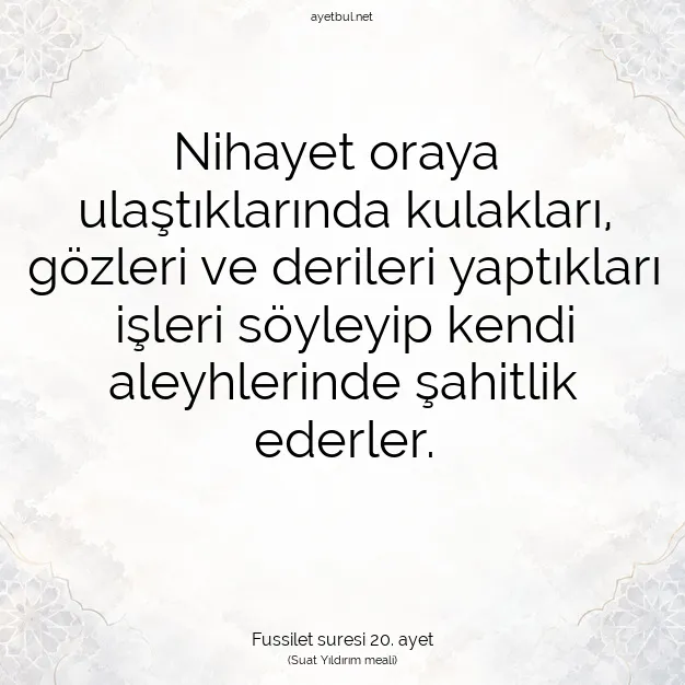 Ayetbul | Kuran Mealleri | Quran | Fussilet suresi 20. ayet