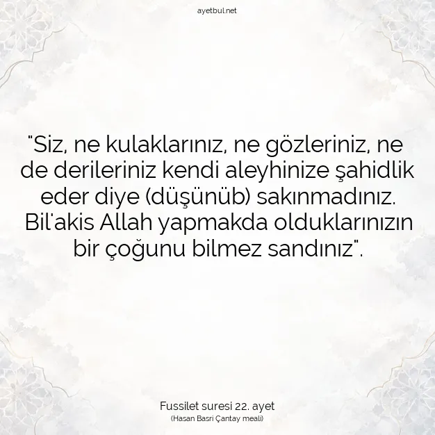 Ayetbul | Kuran Mealleri | Quran | Fussilet suresi 22. ayet