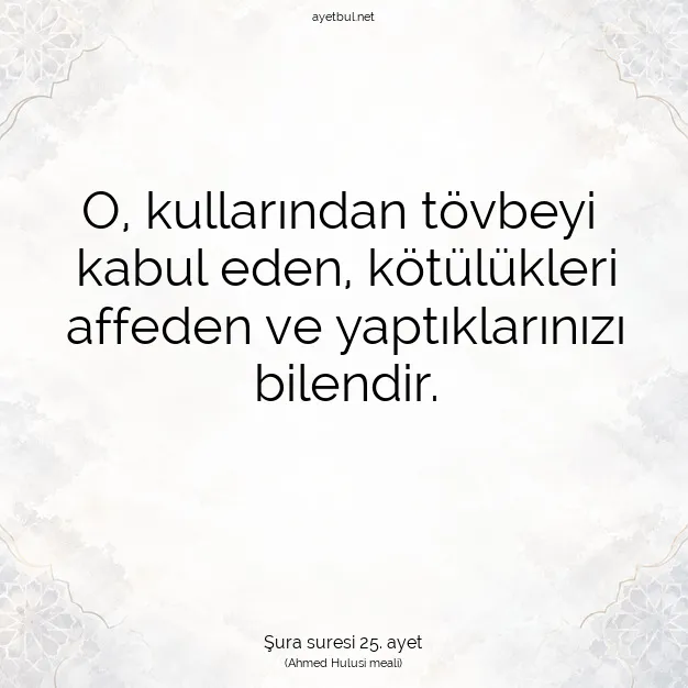 Ayetbul | Kuran Mealleri | Quran | Şura suresi 25. ayet